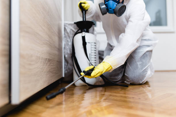 Best Commercial Pest Control Services  in Bell, CA