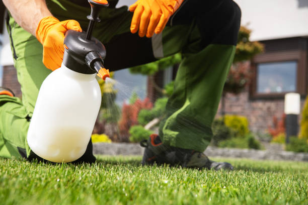 Best Pest Inspection Near Me  in Bell, CA