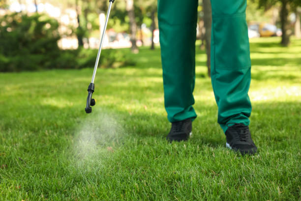 Pest Control for Restaurants in Bell, CA