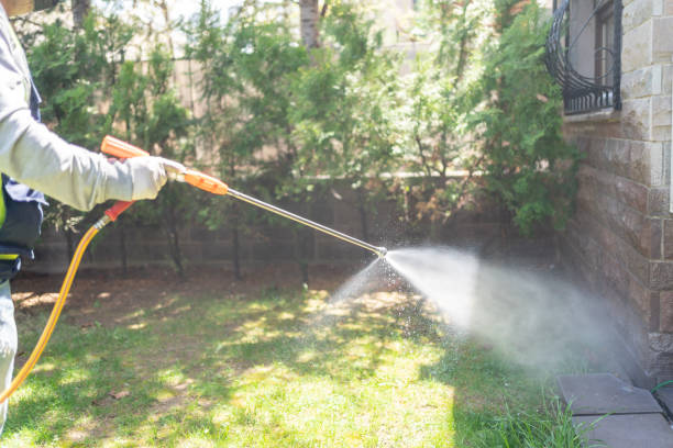 Best Pest Removal Services  in Bell, CA