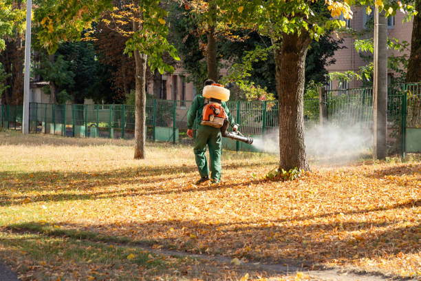 Best Residential Pest Control  in Bell, CA