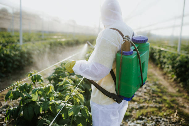 Best Affordable Pest Control Services  in Bell, CA